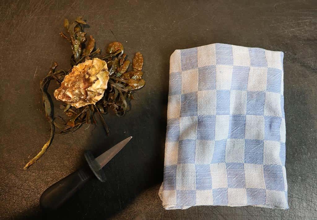 Hoe maak ik een oester open, stap 1: Benodigdheden