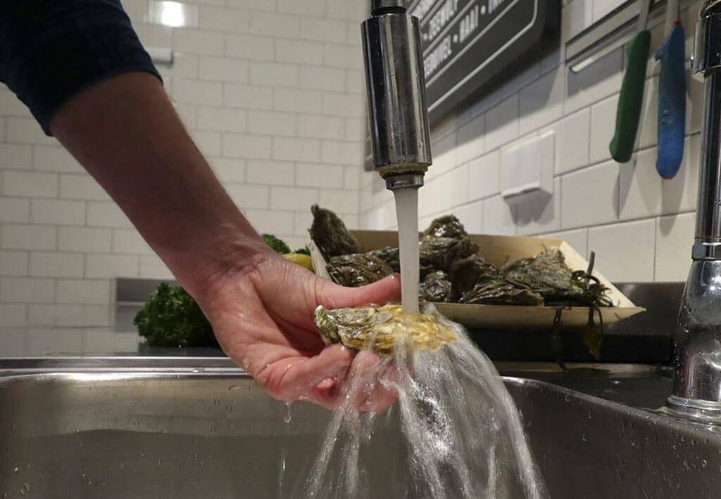 Hoe maak ik een oester open, stap 2: Afspoelen