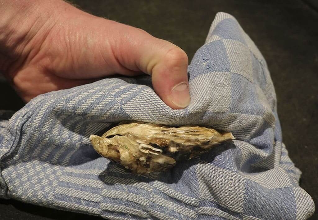 Hoe maak ik een oester open, stap 4: Platleggen