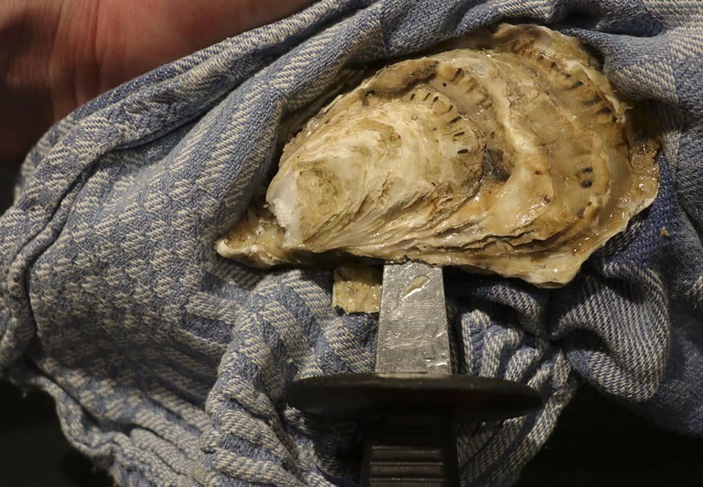 Hoe maak ik een oester open, stap 6: Openmaken