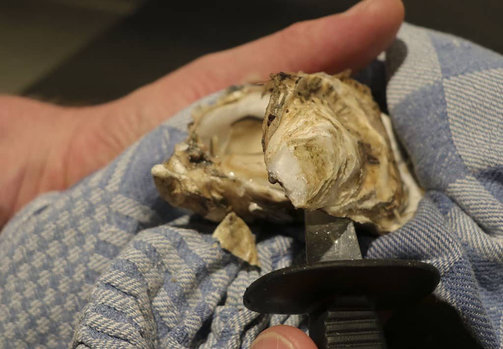 Hoe maak ik een oester open, stap 7: Snij de spier weg