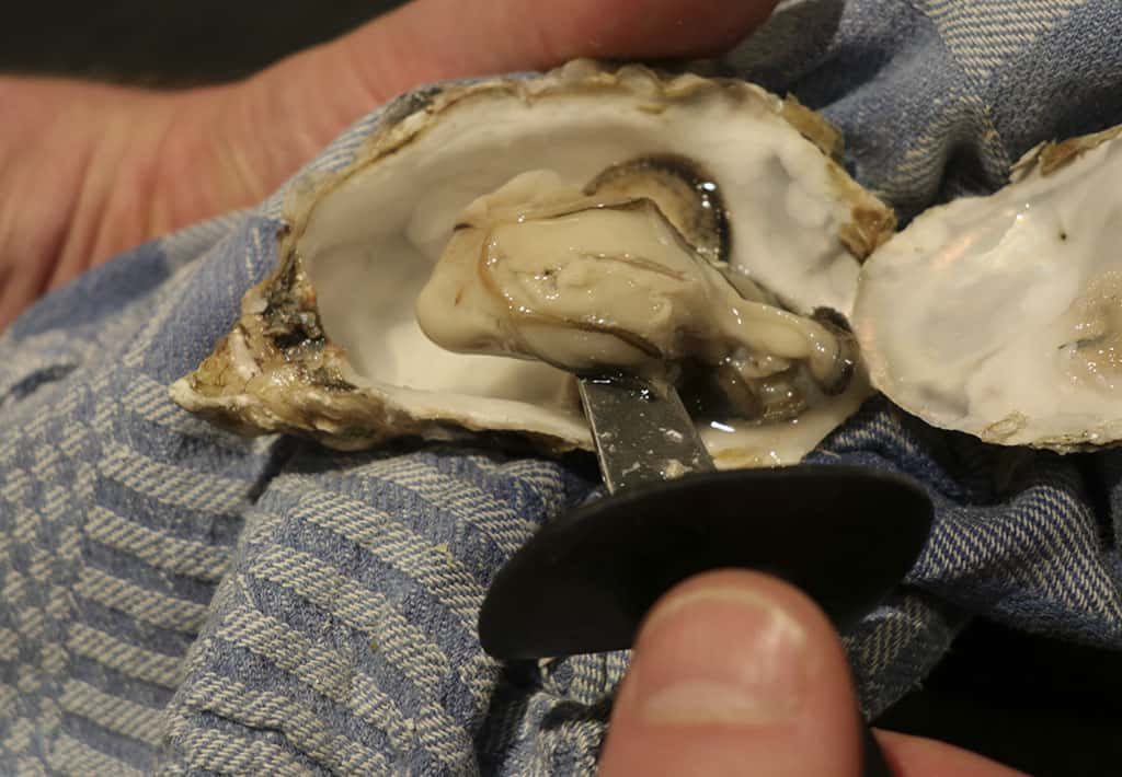Hoe maak ik een oester open, stap 8: Los maken