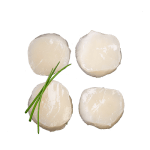 Coquilles