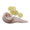 Zeewolffilet kopen